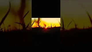 سورة النازعات القارئ عبدالله احمد شعبان 