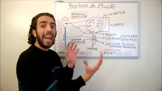 2 Sistema Urinário - Reflexo da Micção - Fisiologia