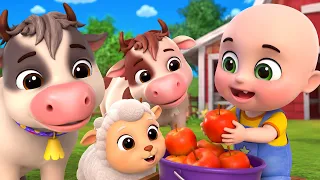 Baby Feed The Farm Animals | Old Macdonald Song |New Compilation | Baby Cartoon & Nursery Rhymes