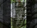 Download Lagu Teriakan orang yang berkuasa #firman #quotes #firmantuhan #motivasi #firmantuhan #tuhan