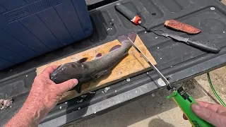 CATCH, CLEAN, & COOK!