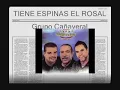 Grupo cañaveral tiene espina el rosal
