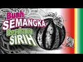 Download Lagu Buah SEMANGKA Berdaun SIRIH
