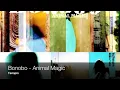 Bonobo - Terrapin