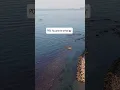 Balancing on a paddleboard is hard enough Shooting a camera into the open sea while doing it