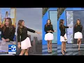 Dani Beckstrom for ABC7 Eyewitness News Big Dog Sunday Weather clips for November 30 2025