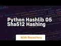 Python hashlib 05 sha512 hashing