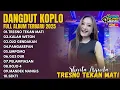 Download Lagu SHINTA ARSINTA - TRESNO TEKAN MATI KALAH WETON (Dangdut Koplo Terbaru 2025) FULL ALBUM TANPA IKLAN
