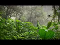 Tropical Rainstorm Sounds in Rainforest | Rain White Noise (No Thunder)