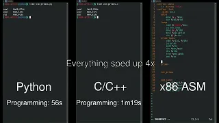 Python vs vs Assembly side-by-side comparison