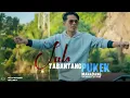 Download Lagu Carlos - Jalo Tabantang Pukek mahadang - karaoke