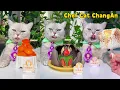 Try Chef Cat's New Collection Of Early SUMMER Recipes! 🍷🍏| Cat Cooking Food | Cute And Funny Cat