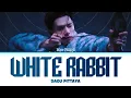 Download Lagu 【Daou Pittaya】 WHITE RABBIT