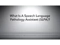 What is a Speech Language Pathology Assistant SLPA