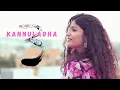 Download Lagu Kannuladha Cover | Aditi Bhavaraju | 3 Telugu Movie