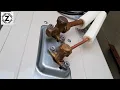 Big Problem? Why is water dripping from the AC outdoor unit | Explanation & Full Solution