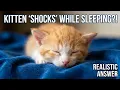 Why kittens twitch while sleeping