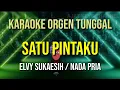 Download Lagu SATU PINTAKU - NADA PRIA / ELVY SUKAESIH / KARAOKE ORGEN TUNGGAL