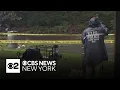 Police looking for man who killed woman in Brooklyn park