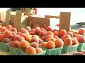 Farm to Feast is coming to Roanoke