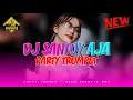 DJ SANTUY AJA CUY🌴remix kancingan full party