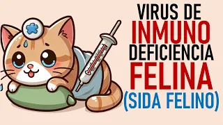 VIRUS de INMUNODEFICIENCIA FELINA (llamado SIDA FELINA) | La Vida con Gatos 37 #lavidacongatos