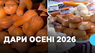 Ярмарок «Дари осені» вперше за 7 років провели в Ужгороді