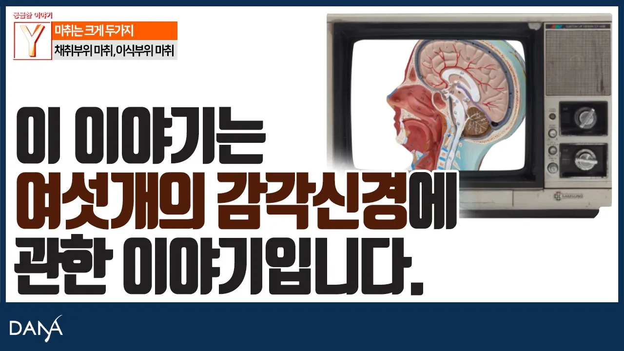 의느님답변📂ㅣ모발이식수술시 마취는 크게 두가지로 나뉩니다. [109회-수면및국소마취 2부]