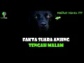 Benarkah suara Anjing dimalam hari tanda melihat hantu ?