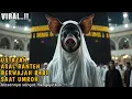 Download Lagu VIRAL !! Ustazah Asal Banten Tiba-Tiba Berwajah Bab1 Saat Umroh, Alasannya Sangat Mengejutkan !