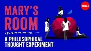 marys room a philosophical thought experiment eleanor nelsen