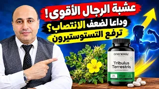 حقيقة عشبة الحسك : هل هي الفياغرا الطبيعية أم مجرد وهم