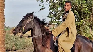 الفاشل عينه علي الناجح اما الناجح عينه علي الهدف رائد عادل الأسيوطي مات الكلام 