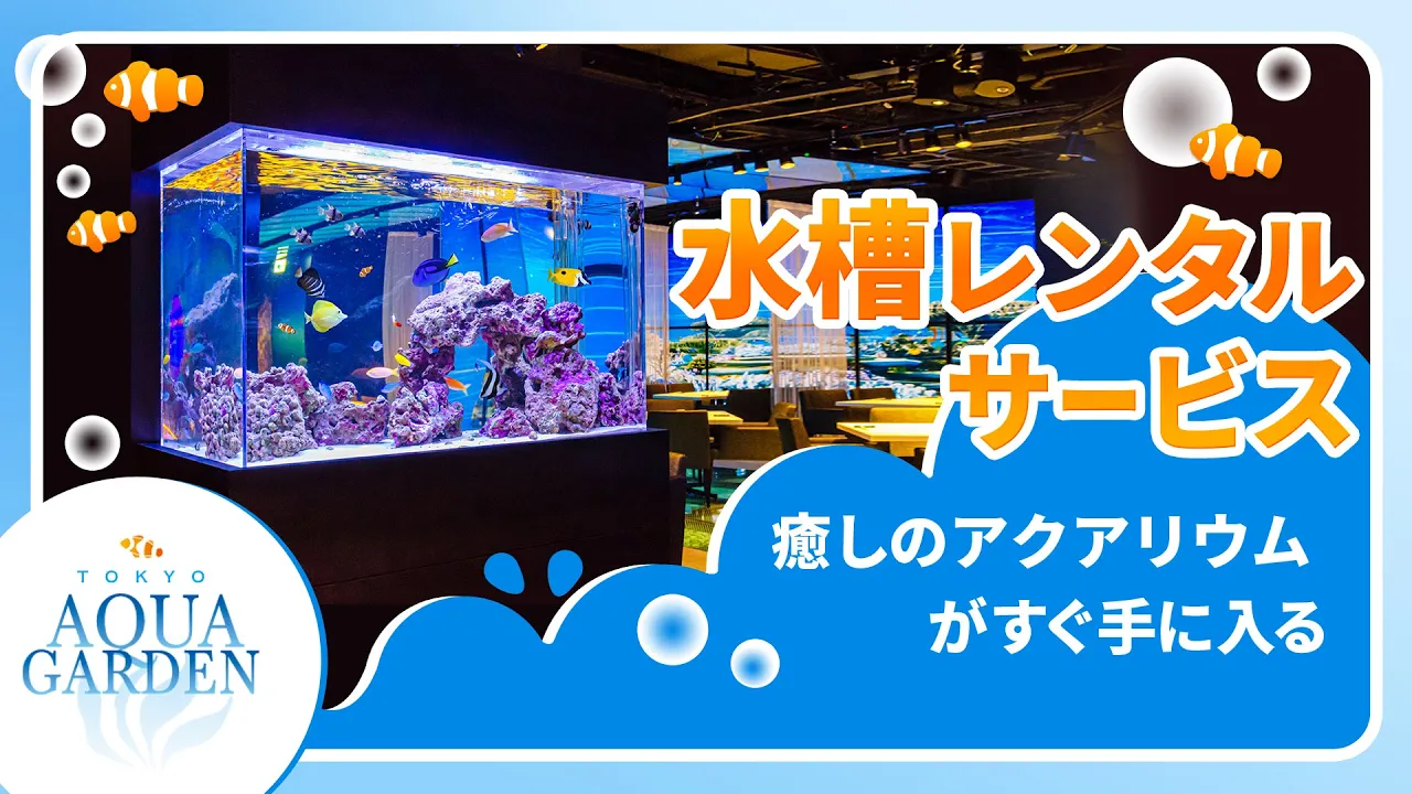 【1分で分かる】忙しい人のための水槽レンタルサービス紹介