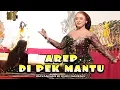 Download Lagu niken salindri lagu prau layar wayangan ki rudi gareng @JAGADKADIRI
