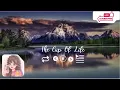 Download Lagu The cup of life - 99% người không chịu nổi đoạn cuối… Bạn có nằm trong 1% còn lại? 🕊️💥