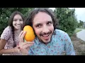 Banana Phone By Raffi and More Toddler Songs