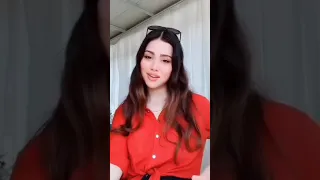 عاشق شدیم به یارک بیگانه 