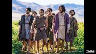 the chosen an open letter