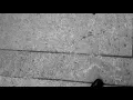 GLOC9- sukli