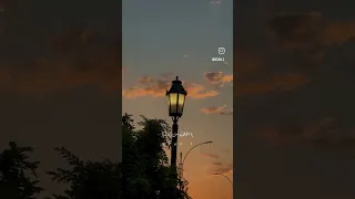 الله يباركلي فيك اكسبلور تامر حسني حبيبي حب عشق غرام حالات واتساب اشتراك لايك Shorts 