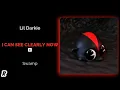Lagu Lil Darkie - I Can See Clearly