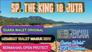 Download SP THE KING 18 JUTA || BERMAHAR || OPEN PROTECT|| SUARA WALET RBW SUKSES MP3