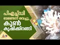 PHD പഠനം വേണ്ടെന്ന് വച്ച് കൂൺ കൃഷിയിലേക്ക്; ഹൈടെക് കൂൺ കൃഷിയിൽ വിജയം കൊയ്ത് സച്ചിൻ