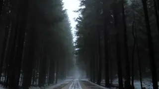 ولقد نادانا نوح فلن عم الم جيبون 