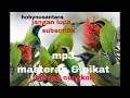 Download Lagu SUARA PIKAT BURUNG CUCAK IJO CAK RANTING RIBUT ...🔊🔊‼️ MANTAP