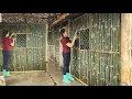 Download Lagu How to build a beautiful bamboo house. Harvesting grapefruit with my daughter in the garden
