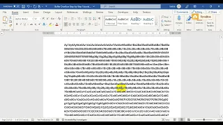 Buffer Overflow Step by Step Lab