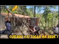 Lagu Esse foi Maior Passo que conquistamos nesta Obra #rural #familia @TILAPIAMinhaVida