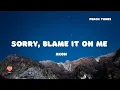 Download Lagu Akon - Sorry, Blame It On Me (Lyrics) 🍑